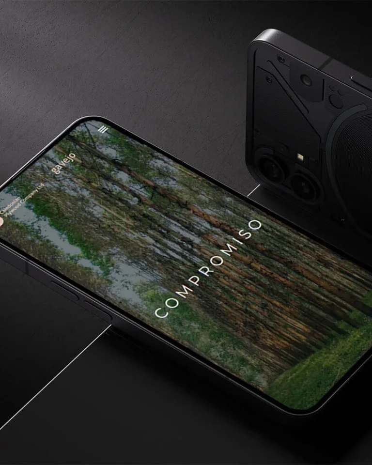 diseño Web mallorca